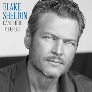 Came Here To Forget album cover