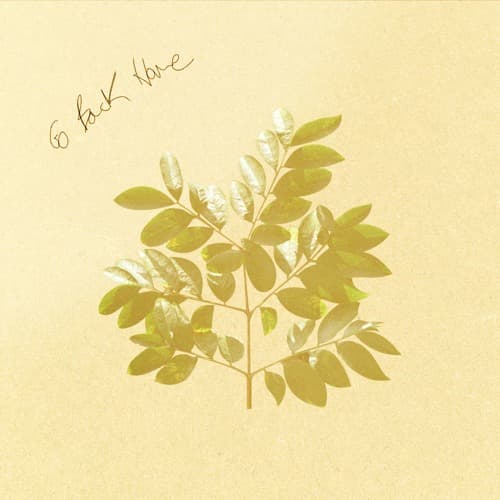 Go Back Home album cover