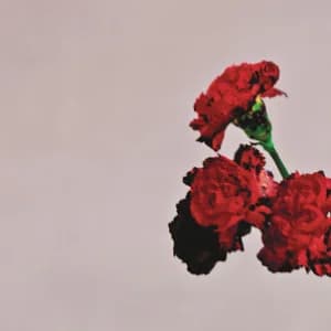 Love In The Future (Deluxe Edition) album cover