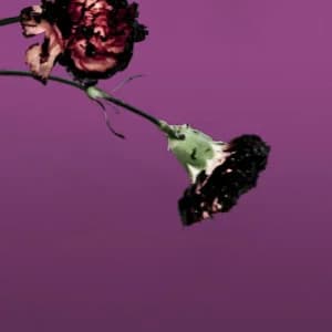 You And I (R3hab Remix) album cover