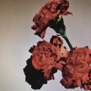 Made To Love (Remixes) album cover
