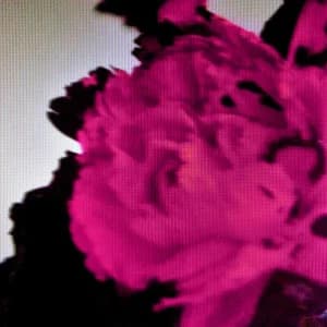 All of Me (Live) album cover