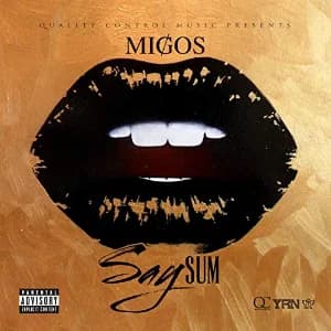 Say Sum album cover