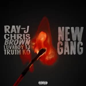 New Gang album cover