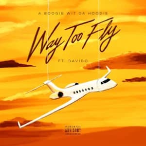 Way Too Fly album cover