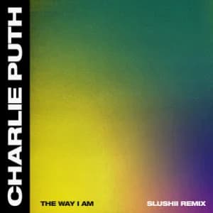 The Way I Am (Slushii Remix) album cover