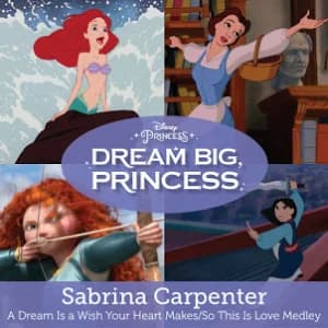 A Dream Is a Wish Your Heart Makes/So This Is Love album cover