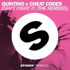 Can't Fight It (The Remixes) album cover