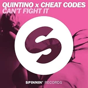 Can't Fight It album cover
