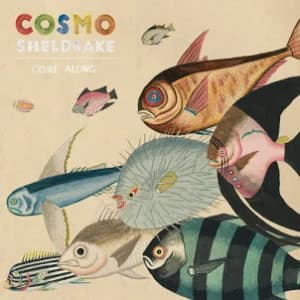 Come Along album cover