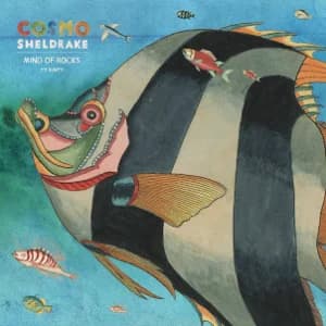 Mind of Rocks album cover