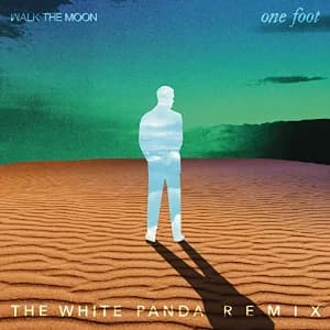One Foot (The White Panda Remix) album cover