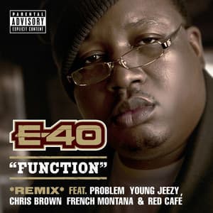 Function (Remix) [feat. Problem; Young Jeezy; Chris Brown; French Montana; Red Café] album cover