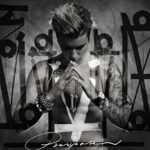 Purpose (Deluxe) album cover