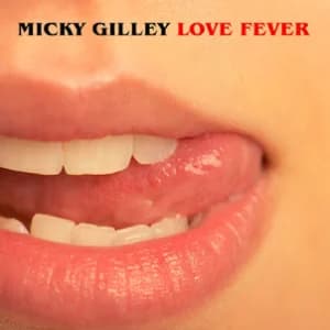 Love Fever album cover