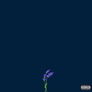 us album cover
