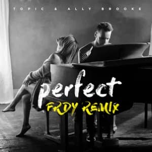 Perfect (FRDY Remix) album cover