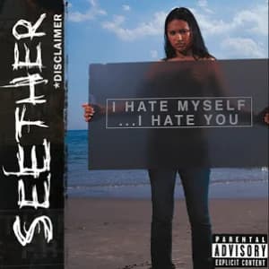 Disclaimer album cover