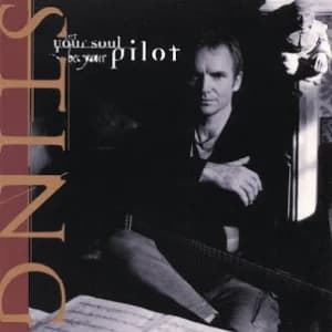 Let Your Soul Be Your Pilot album cover