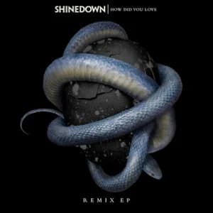 How Did You Love (Remixes) album cover