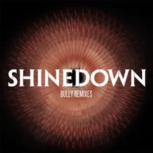 Bully (Remixes) album cover