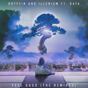 Feel Good (The Remixes) album cover