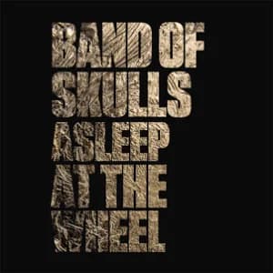 Asleep at the Wheel album cover