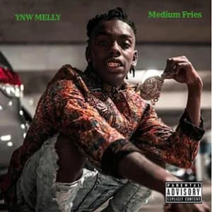 Medium Fries album cover