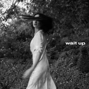 Wait Up album cover