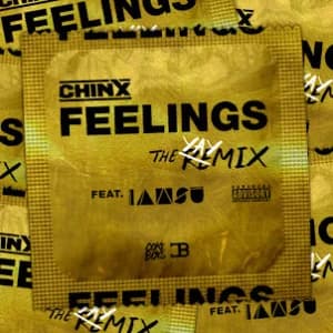 Feelings Remix album cover