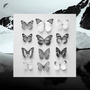 Young Alaska album cover