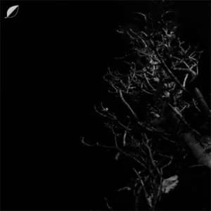Heights album cover