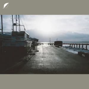 Reubin album cover