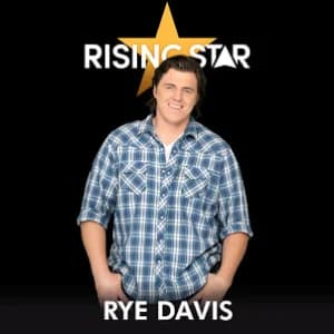 When You Say Nothing At All (Rising Star Performance) album cover