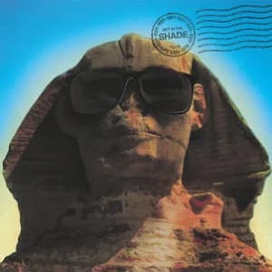 Hot In The Shade album cover