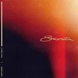 Señorita album cover