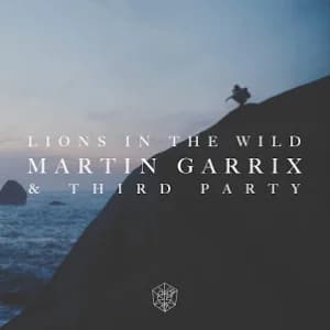 Lions in the Wild album cover