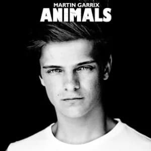 Animals album cover