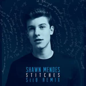 Stitches (SeeB Remix) album cover
