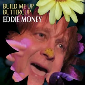 Build Me Up Buttercup album cover