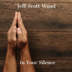 In Your Silence album cover