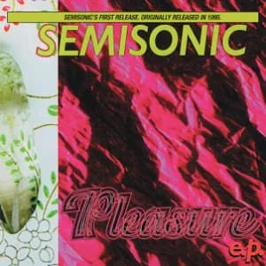 Pleasure E.P. album cover