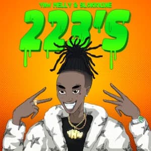 223's (feat. 9lokkNine) album cover