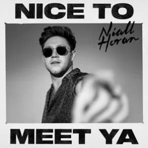 Nice to Meet Ya album cover