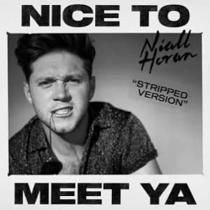 Nice To Meet Ya (Stripped Version) album cover