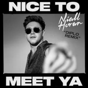 Nice To Meet Ya (Diplo Remix) album cover