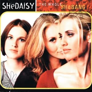 The Whole Shebang album cover