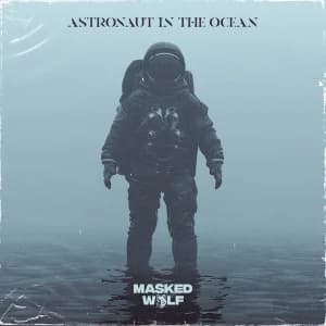 Astronaut in the Ocean album cover