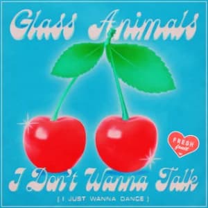 I Don't Wanna Talk (I Just Wanna Dance) album cover