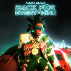 Back For Everything album cover